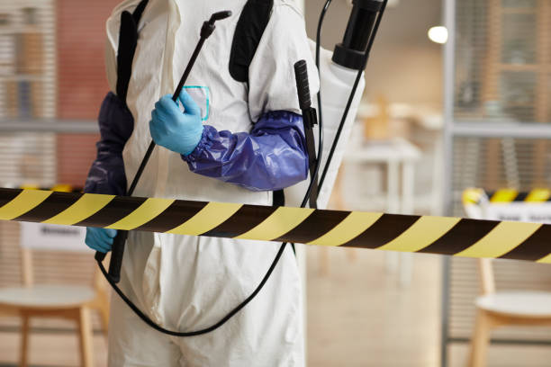 Professional Hoarding Cleanup technician working in Bat Cave, NC